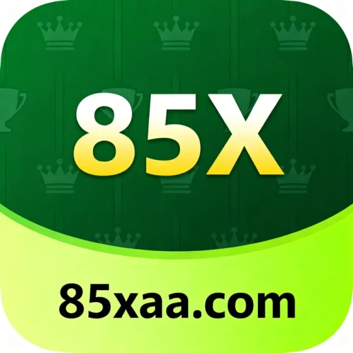 85x.com